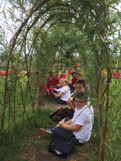   Summer lunchtimes at Fairfield