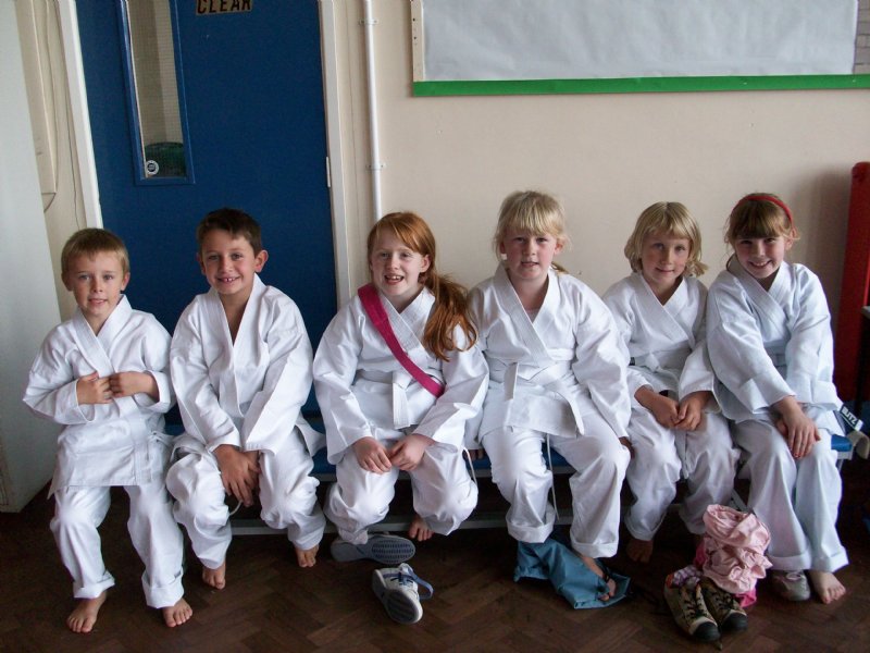 Karate Club