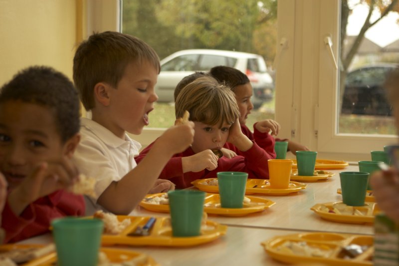 School Meals