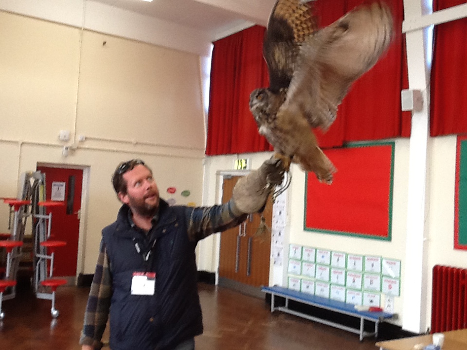 Welsh Hawking Centre