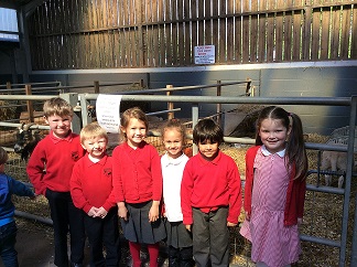 Cefn Mably Farm Visit