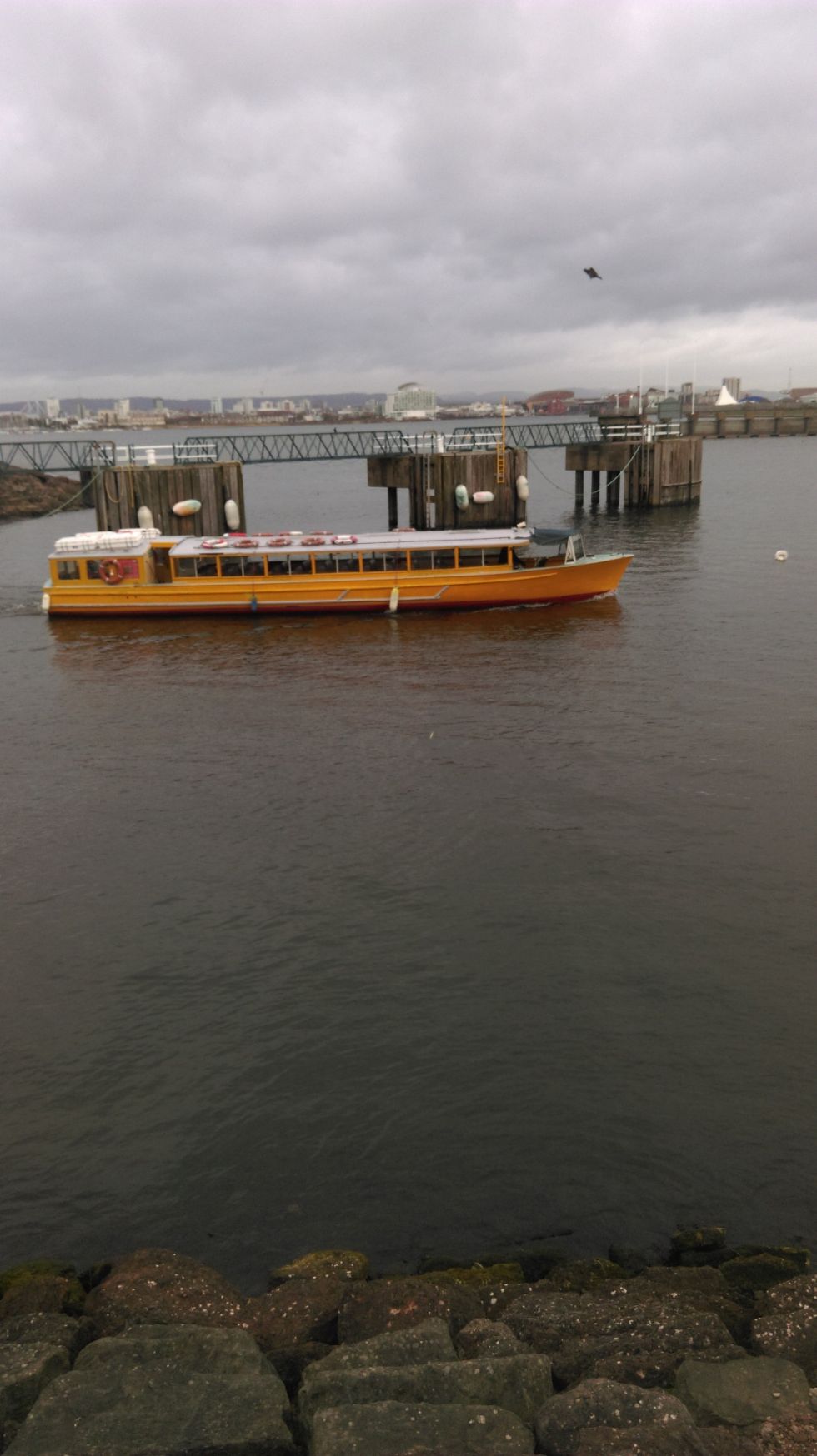 Year 5 and 6 Boat Trip