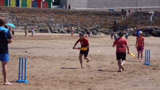 Cricket on the Beach