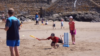 Cricket on the Beach