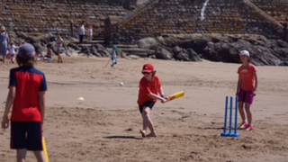 Cricket on the Beach