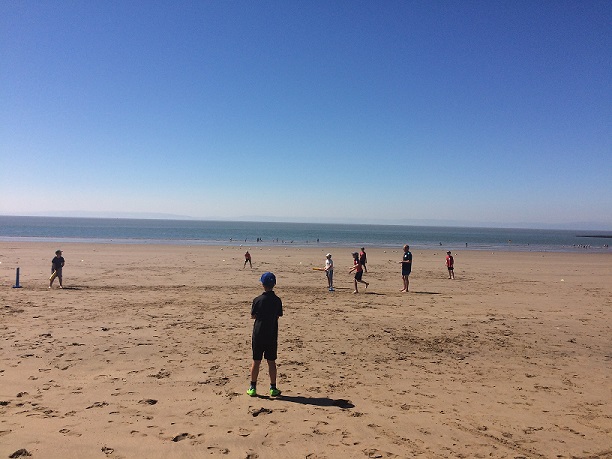 Cricket on the Beach