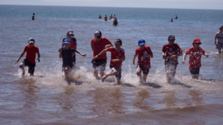 Cricket on the Beach