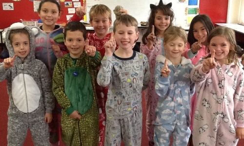 Fairfield Primary School Type Onesie Day